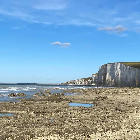 Appartement L'olivier En Baie, T3 De Standing Avec Jardin, Vue Baie, Parking Prive *