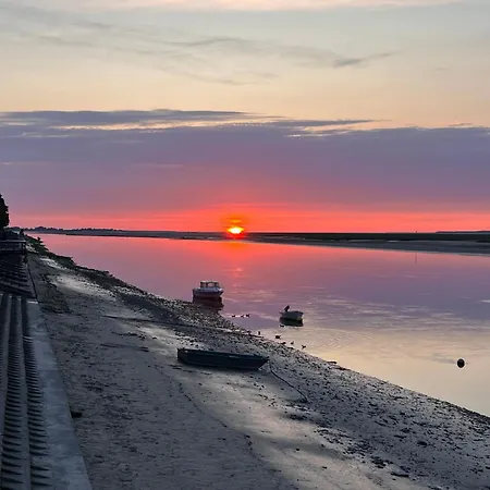 L'olivier En Baie, T3 De Standing Avec Jardin, Vue Baie, Parking Prive Appartement