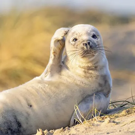 Appartement L'olivier En Baie, T3 De Standing Avec Jardin, Vue Baie, Parking Prive *