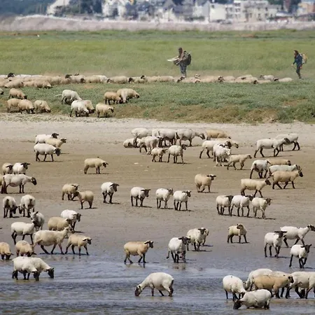 L'olivier En Baie, T3 De Standing Avec Jardin, Vue Baie, Parking Prive Апартаменты Сен-Валери-сюр-Сомм