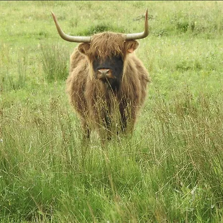 L'olivier En Baie, T3 De Standing Avec Jardin, Vue Baie, Parking Prive Appartement Saint-Valéry-sur-Somme