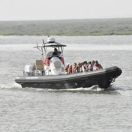 L'olivier En Baie, T3 De Standing Avec Jardin, Vue Baie, Parking Prive