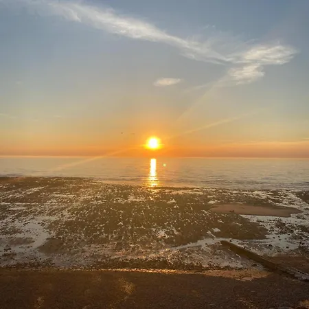 Appartement L'olivier En Baie, T3 De Standing Avec Jardin, Vue Baie, Parking Prive