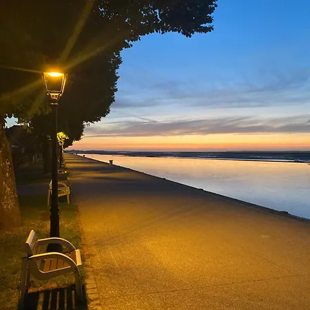 L'olivier En Baie, T3 De Standing Avec Jardin, Vue Baie, Parking Prive